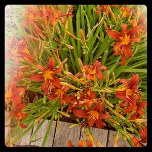 MYSTERY Jewelry Box!!